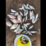 КАК ЛОВИТЬ НА ЛЕТНЮЮ МОРМЫШКУ ВЕСНОЙ? ПОДМОСКОВЬЕ