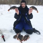 Окунь атакует. Последняя рыбалка перед самоизоляцией. Сидим дома. Зимняя рыбалка 2020.