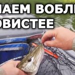 Даже лучшие воблеры можно усовершенствовать! Уловистые воблеры на щуку и окуня. Какой воблер взять?