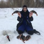 Окунь атакует.