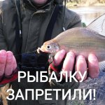Рыбалка на ДОНКУ весной. Разведка РЫБНЫХ МЕСТ на реке.