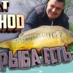 РЫБАЛКА. КАРП САЗАН НА ФЛЭТ МЕТОД.