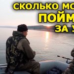 Решили поймать поменьше... Ловля окуня на спиннинг на силикон. Окунь на воблер