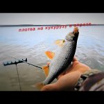 как мы с Саньком пытались наловить плотвы...