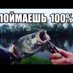 Как ПОЙМАТЬ РЫБУ на реке. Правила УДАЧНОЙ РЫБАЛКИ. Жерех на Спиннинг.