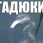 Гадюка Охотится на Рыбу Уникальные Кадры. Snake hunts for fish.
