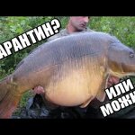 ШАШЛЫК и РЫБАЛКА в карантин  — без ШТРАФА реально?
