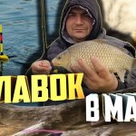 РЫБАЛКА. ЛОВЛЯ КАРАСЯ НА ПОПЛАВОК В МАРТЕ 2020