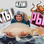 НА ЧТО ЛОВИТЬ ПОЗДНЕЙ ВЕСНОЙ ? И ЧТО ВЫБЕРЕТ КАРП ?