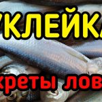 ЛОВЛЯ КРУПНОЙ УКЛЕЙКИ НА ПОПЛАВОК. Рыбалка на водохранилище в мае. Маховая удочка весной.