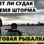 Да пошел этот ветер и дождь! Шторм нам не помеха. Все равно будем ловить и поймаем. [Джиг рулит!].