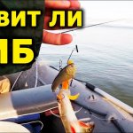 Немного новых приманок для меня. Быстрый ужин из улова. Рыбалка на окуня. Ловля окуня на спиннинг