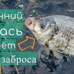 Пробуждение Весеннего Карася,  клюёт с 1ого заброса