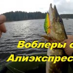 Ловля щуки на спиннинг.   Воблеры с Алиэкспресс.   Твичинг в перемену погоды.