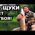 Щука пошла! Первый трофей сезона! Щучье эльдорадо! Рыбалка на щуку летом на спиннинг