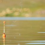 Рыбалка во время карантина #рыбалка в Казахстане #Рыбалка2020