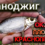 ЭТА ПРИМАНКА ВСЕГДА ВЫРУЧАЕТ | Рыбалка на сломе погоды | Наноджиг | Окунь, плотва, красноперка.