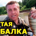 На воблер или джиг наловил крупного окуня? Крутая рыбалка!