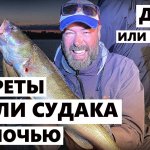 Рыбалка-шикардос! Джиг продолжает выкашивать судаков. На этот раз ночью. [спиннингист рулит].