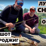 Принципы ловли окуня на дроп шот. Микроджиг, дропшот? Что лучше? [Три дня ловли или как уйти с нуля]