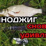 Вот за ЭТО мне и нравится ловить на НАНОДЖИГ. Подлещик и окуни клюют как из пулемета.
