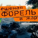 Бешеная форель в жару. Часть 2.