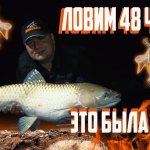 РЫБАЛКА НА КАРПА. ЭТО БЫЛ ТРЕШШШ!!! ЛОВИМ ДНЕМ И НОЧЬЮ.