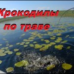 Ловля щуки в траве.  Спиннинг в июле на Чудском озере. Незацепляйки .