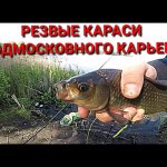 Резвые караси рвут снасти! Рыбалка на подмосковном карьере. Июнь 2020