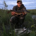 ДИКИЕ, ГОЛОДНЫЕ ЩУКИ АТАКУЮТ НА КАЖДОМ ЗАБРОСЕ. РЫБАЛКА 2020. Ловля на спиннинг.