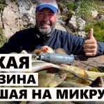 Микроджиг выкашивает финского окуня. Как найти и поймать, если буря и дождь. [Клевая рыбалка].