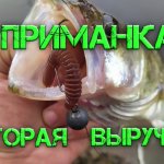 ТАКОЙ РЫБАЛКИ Я НЕ ОЖИДАЛ. Судак и щука на джиг. Ловля с берега на реке.