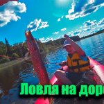 Ловля на дорожку. Озеро Антоново. Озеро Хвойлово.