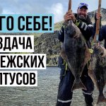 Рыбалка-огонь! Такого у нас еще не было. Палтус - король норвежского моря. [Рыбалка в Норвегии].