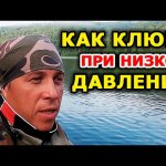 Низкое давление и рыбалка. Давление и клев рыбы. Как клюет при низком давлении