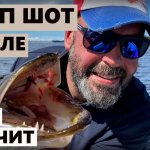 Как поймать, если солнце и штиль/Дроп шот выручает/Судак, щука жрут наши приманки[Ловля на дроп шот]