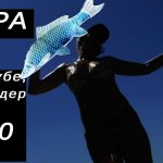 Фидер с лодки/ Ловим бель/ ЖАРА на АХТУБЕ. Поймали глазачика!