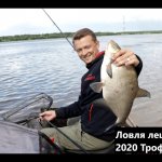 Ловля леща на фидер 2020 Трофейный Лещ.