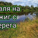 Откуда ОНИ здесь?! Ловил щуку на реке, а клевали ОНИ! Рыбалка на джиг с берега.