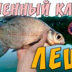 Бешенный КЛЕВ ЛЕЩА.  Ночная рыбалка на Дону