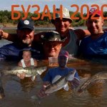 НИЖНЯЯ ВОЛГА, БУЗАН 2020