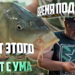 ЛУЧШАЯ НАСАДКА НА КАРПА!!! РОЗЫГРЫШ!!! ЛОВЛЯ КАРПА В ЖАРУ.
