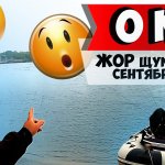 Осенний ЖОР щуки начинается. Река ОКА. Рыбалка в Подмосковье в СЕНТЯБРЕ 2020.