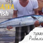 РЫБАЛКА НА МОНСТРА | Больше часа тащил огромную рыбу!