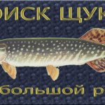 Поиск щуки на большой реке, или как найти активного хищника?
