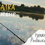 Тихая рыбалка в деревне | сколько же тут рыбы!