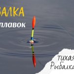 ПОПЛАВОК КРУПНЫМ ПЛАНОМ | Жор плотвы на удочку весной