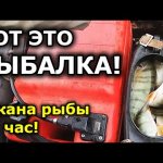 2 КАНА ОКУНЯ ЗА ЧАС!!! Надоело ловить, поехали за щукой! Щука и окунь на спиннинг. Большой улов