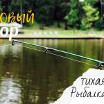 Жор карпа | активный клёв!