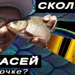 Сколько КАРАСЯ на ТОЧКЕ? КАК БЫСТРО ПОЙМАТЬ МНОГО КАРАСЕЙ с ЛОДКИ на ДОНКУ?